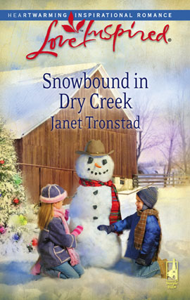 Title details for Snowbound in Dry Creek by Janet Tronstad - Wait list